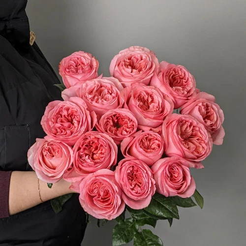 Роза Пинк Экспрешн 50 см